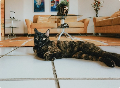 Zajistíme odbornou instalaci klimatizace do Vaší domácnosti. Instalujeme značky Syen, Samsung a další | 81klima.cz