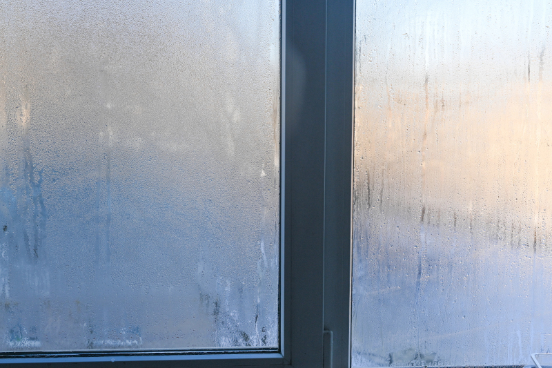 Vlhkost v domácnosti – problém, který podzim přináší