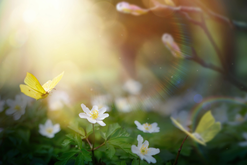 Březen se blíží. Těšíme se na teplo, ale přijde i druhá stránka léta