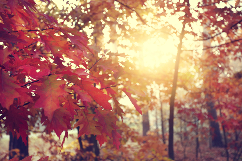 Jak připravit klimatizaci na topnou sezónu